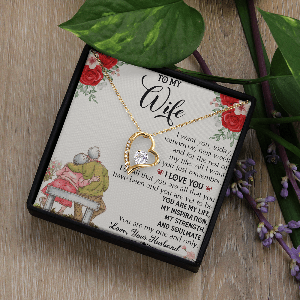 To My Wife "Growing Old Together" Gift- Forever Love Necklace